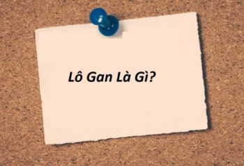 lo gan la gi